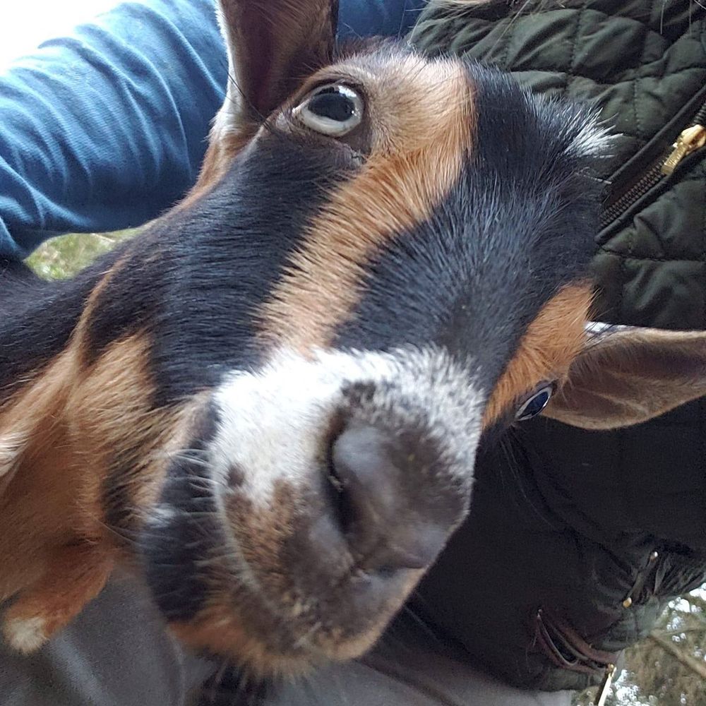 Meet your Posher, Laura